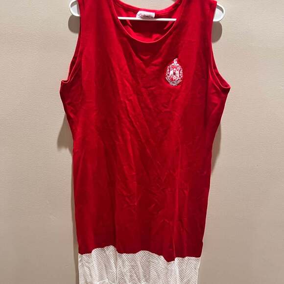 The Delta Box, Delta Sigma Theta Dress, XL - Picture 1 of 4